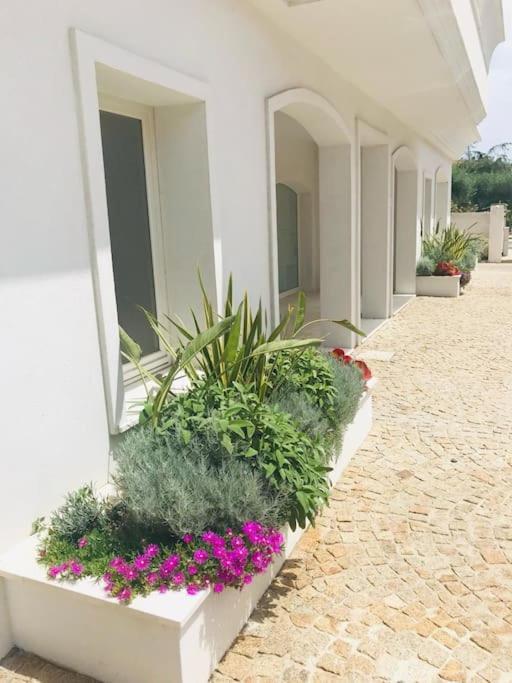 Residenza Bramante Lägenhet Olbia Exteriör bild